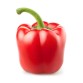 red bell pepper .jpg